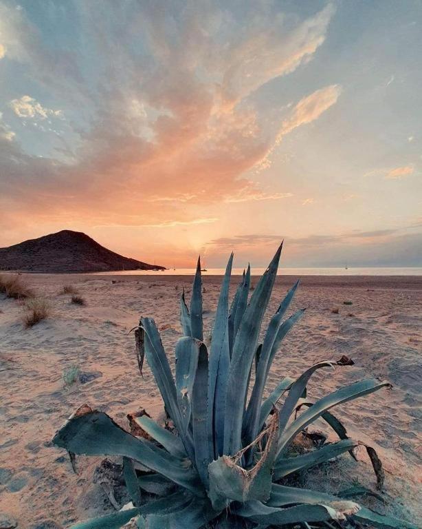 Magnifica Casa Con Encanto En Agua Amarga Agua Amarga  Kültér fotó